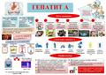 Профилактика ГЕПАТИТА "А"