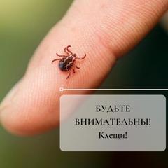 БУДЬТЕ ВНИМАТЕЛЬНЫ! КЛЕЩИ! 